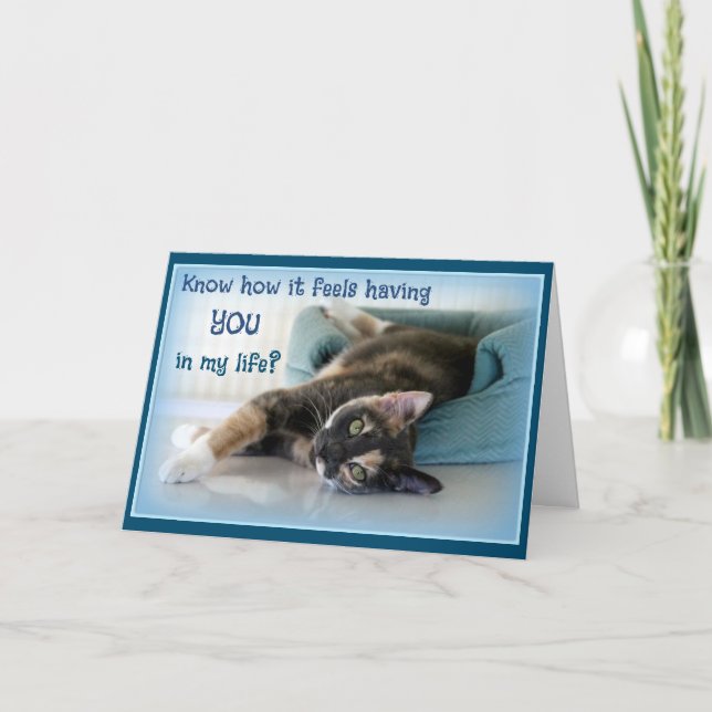 Cat Lover Valentine Day Card Dankeskarte (Vorderseite)