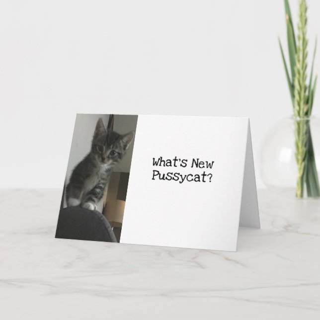 Cat Lover Was ist New Pussycat?Kätzchen Karte (Vorderseite)
