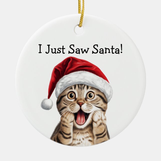 Cat Lover Weihnachtsgeschenk Katze Ornament (Vorne)
