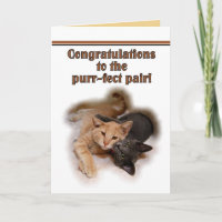 Cat Lovers Happy Anniversary Card