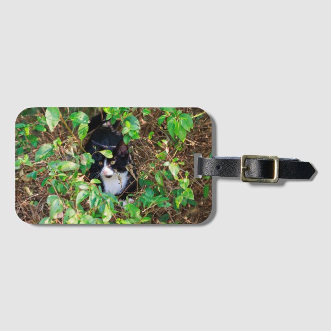 Cat Luggage Tag Gepäckanhänger (Vorderseite (Horizontal))