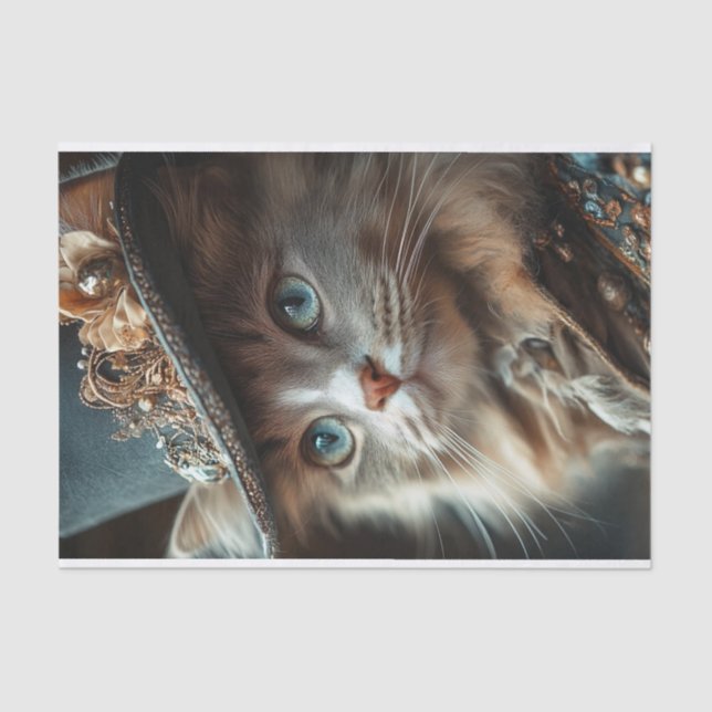 Cat Lyfe2 Seidenpapier (Vorderseite)