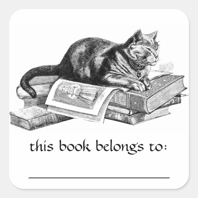 Cat Lying On Books Buchzeichen Stickers (Vorderseite)