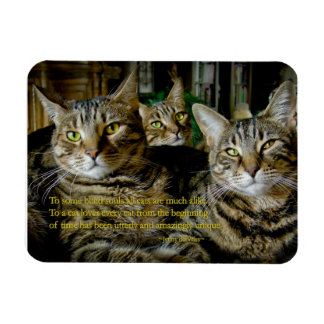 Cat Magnet - Alle Katzen sind einzigartig
