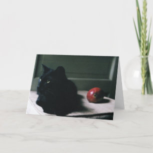 Cat & Mango-Karte Karte