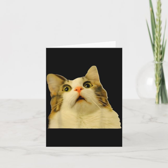 Cat Meme Shock Cat Face Funny Meme Cat Silly Gift  Karte (Vorderseite)