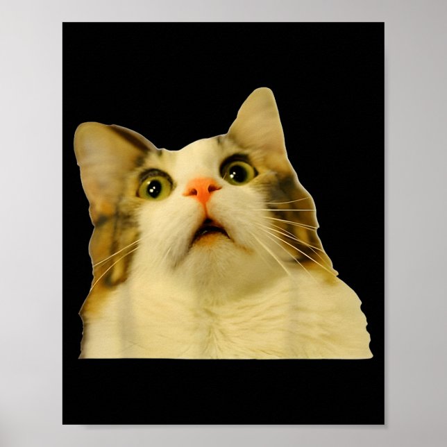 Cat Meme Shock Cat Face Funny Meme Cat Silly Gift  Poster (Vorne)