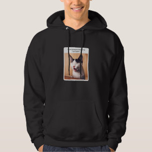 Cat Meme, wenn jemand mir Icecream bringt Hoodie
