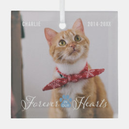 Cat Memorial Forever in unserem Herz Foto und Name Ornament Aus Glas