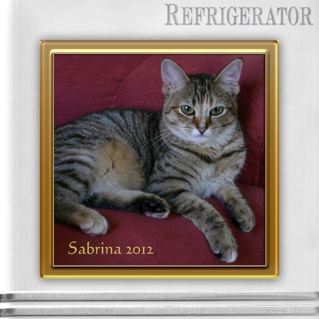Cat Memorial Foto Frame Magnet (Keepsake photo frame magnet for a picture of your own choice - nice as cat memorial magnet)