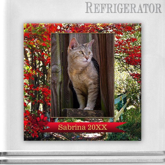 Cat Memorial oder Keepake Foto Frame Magnet (Photo magnet featuring a picture of your own cat(s) on a forest scene with colorful fall leaves)