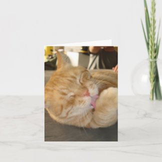 CAT MERKEN CARD-BLANK KARTE