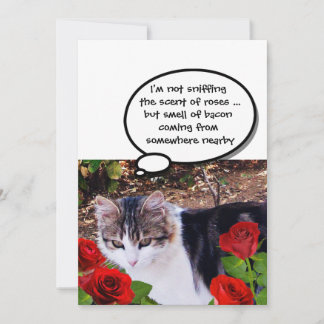 CAT MIT ROTE ROSEN BACON BRUNCH-PARTY EINLADUNG