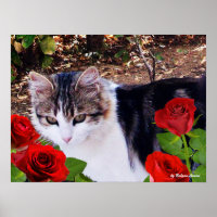 CAT MIT ROTE ROSEN