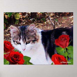 CAT MIT ROTE ROSEN POSTER