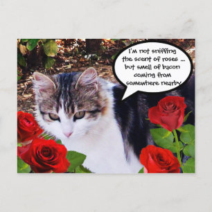 CAT MIT ROTE ROSEN POSTKARTE