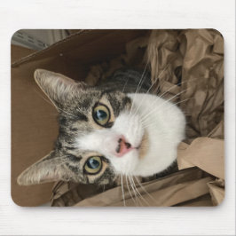 Cat Mouse Mat Mousepad