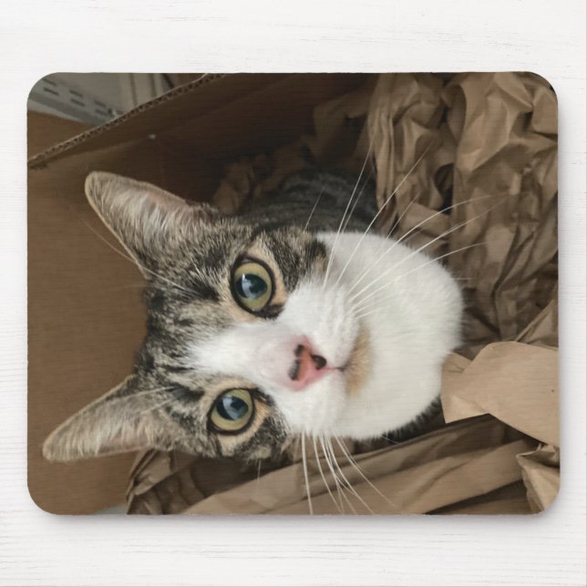 Cat Mouse Mat Mousepad (Vorne)