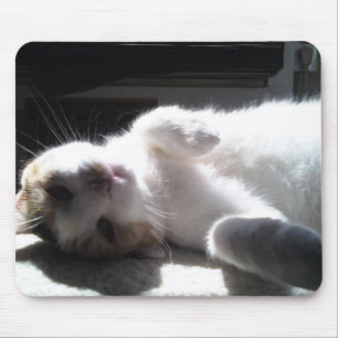 Cat Mouse Pad! Mousepad