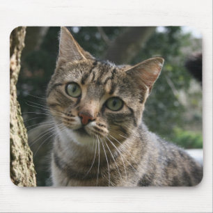 CAT MOUSEPAD