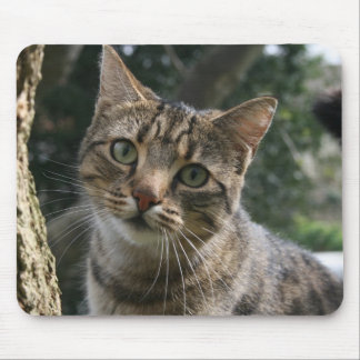 CAT MOUSEPAD