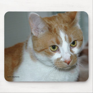 CAT MOUSEPAD