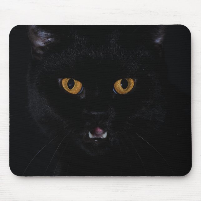 Cat Mousepad (Vorne)