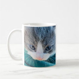Cat Mug, Morning Mood, Funny Mug Kaffeetasse