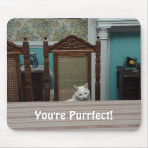 Cat-Nachricht: "Du bist Purfect!" Mousepad
