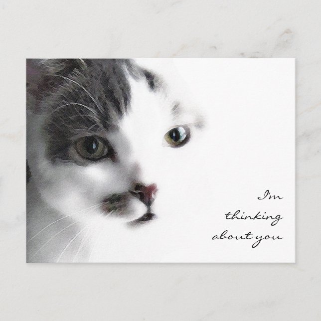 Cat Nah-up Denken über Sie Postcard Postkarte (Vorderseite)