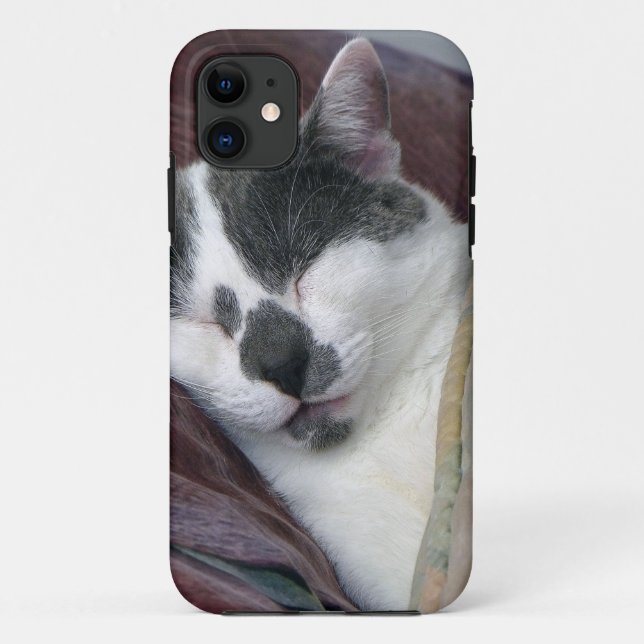 Cat Napping Case-Mate iPhone Hülle (Rückseite)