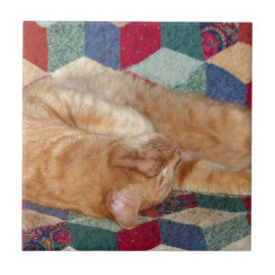 Cat Napping Fliese