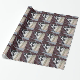 Cat Napping Geschenkpapier