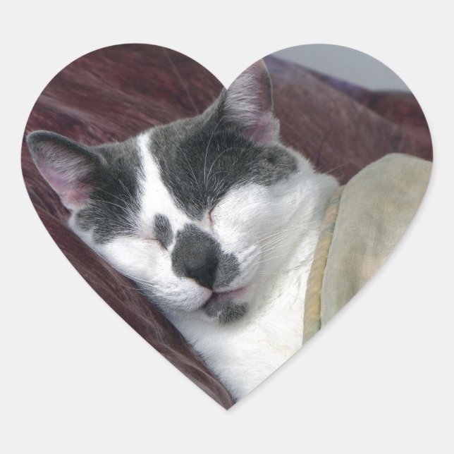 Cat Napping Herz-Aufkleber (Vorderseite)