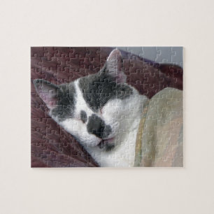 Cat Napping Puzzle