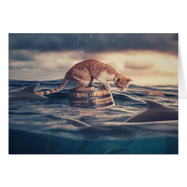 Cat Nickerchen Dream oder Nightmare (Vorderseite (Horizontal))