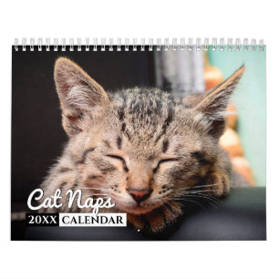 Cat Nickerchen Foto Wall Calendar Kalender