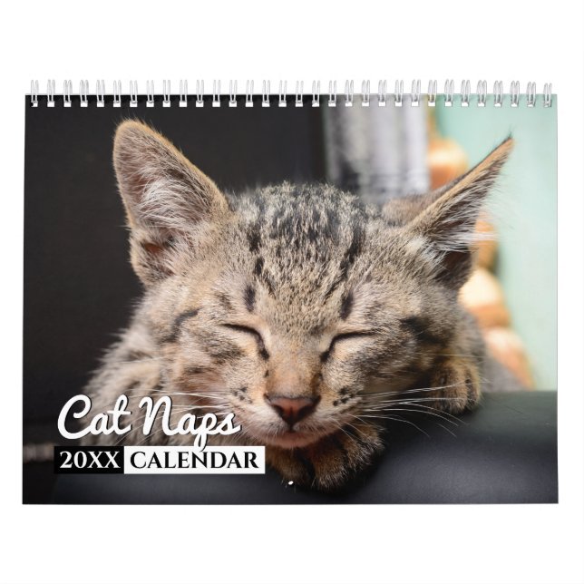 Cat Nickerchen Foto Wall Calendar Kalender (Titelbild)