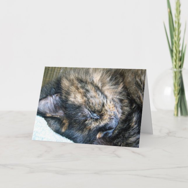 Cat Nickerchen Grußkarte Karte (Vorderseite)