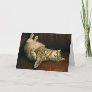 Cat Nickerchen - im Extrem Karte