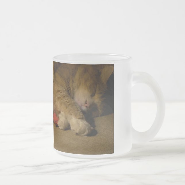 Cat Nickerchen Mattglastasse (Rechts)