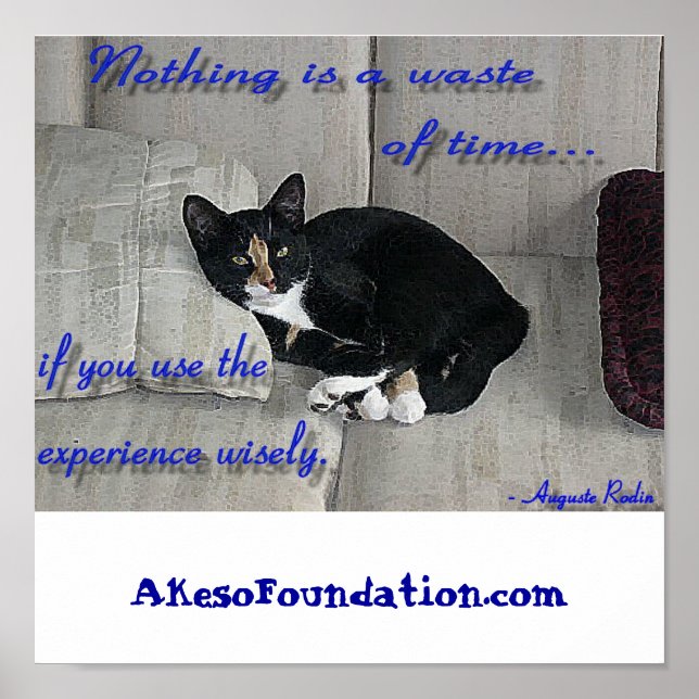 Cat-Nickerchen Poster (Vorne)