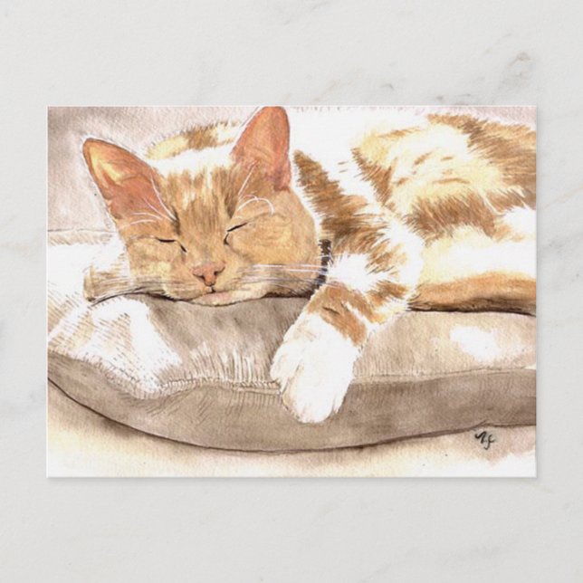 Cat Nickerchen Postkarte (Vorderseite)