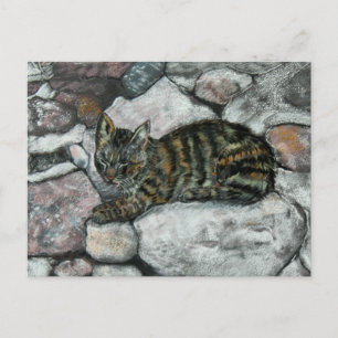 Cat Nickerchen Postkarte