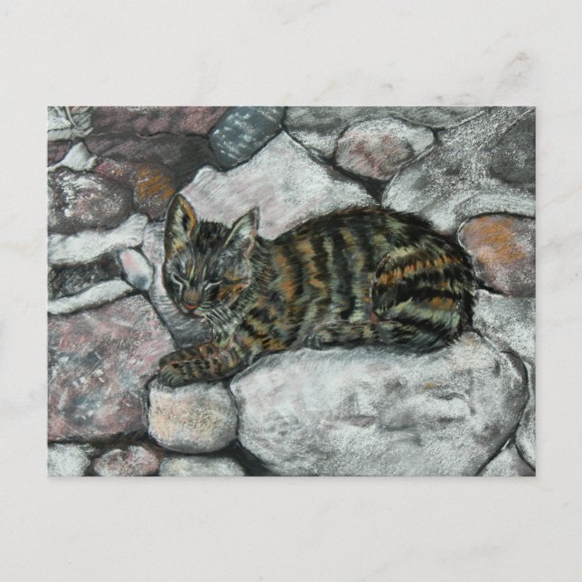 Cat Nickerchen Postkarte (Vorderseite)