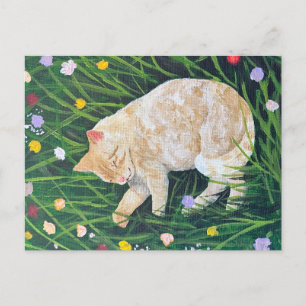 Cat Nickerchen Postkarte
