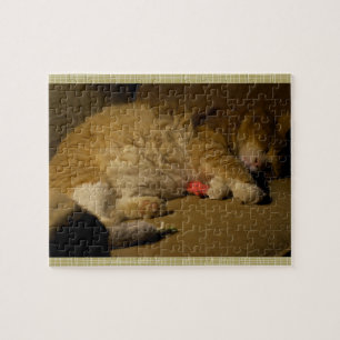 Cat Nickerchen Puzzle