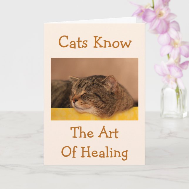 Cat Nickerchen Wisdom erhalten Well Card Karte (Orchidee)