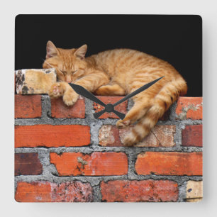 Cat on Brick Wall Quadratische Wanduhr