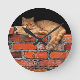Cat on Brick Wall Runde Wanduhr
